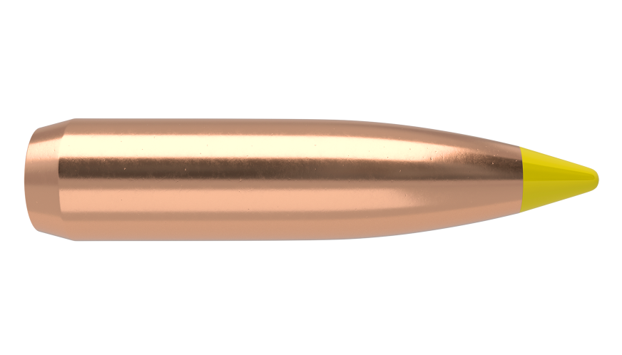 NOSLER .270 CAL. BALLISTIC TIP HUNTING PROJECTILES