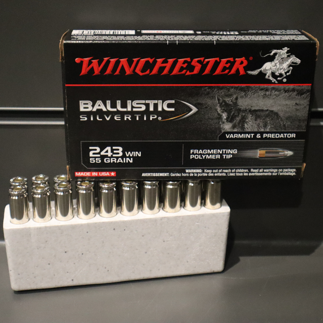 WINCHESTER 243 55G BALLISTIC ST