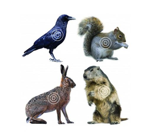 LYMAN VARMINT TARGET ROLL