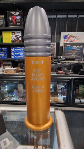 VIKING ACHIEVEMENT AWARD