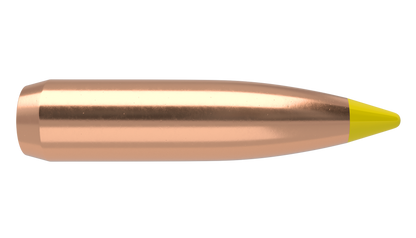 NOSLER .270 CAL. BALLISTIC TIP HUNTING PROJECTILES