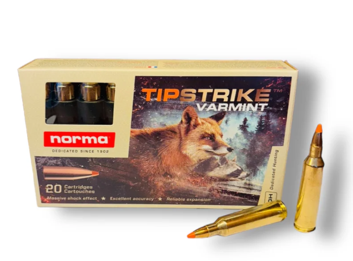 NORMA 243 WIN 76G TIPSTRIKE