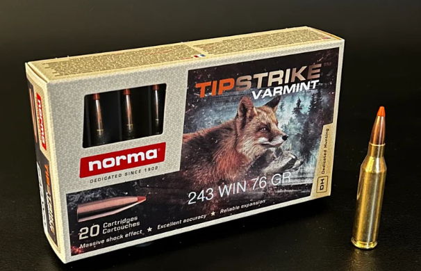 NORMA 243 WIN 76G TIPSTRIKE