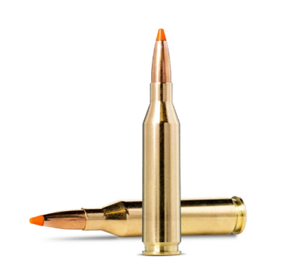 NORMA 243 WIN 76G TIPSTRIKE