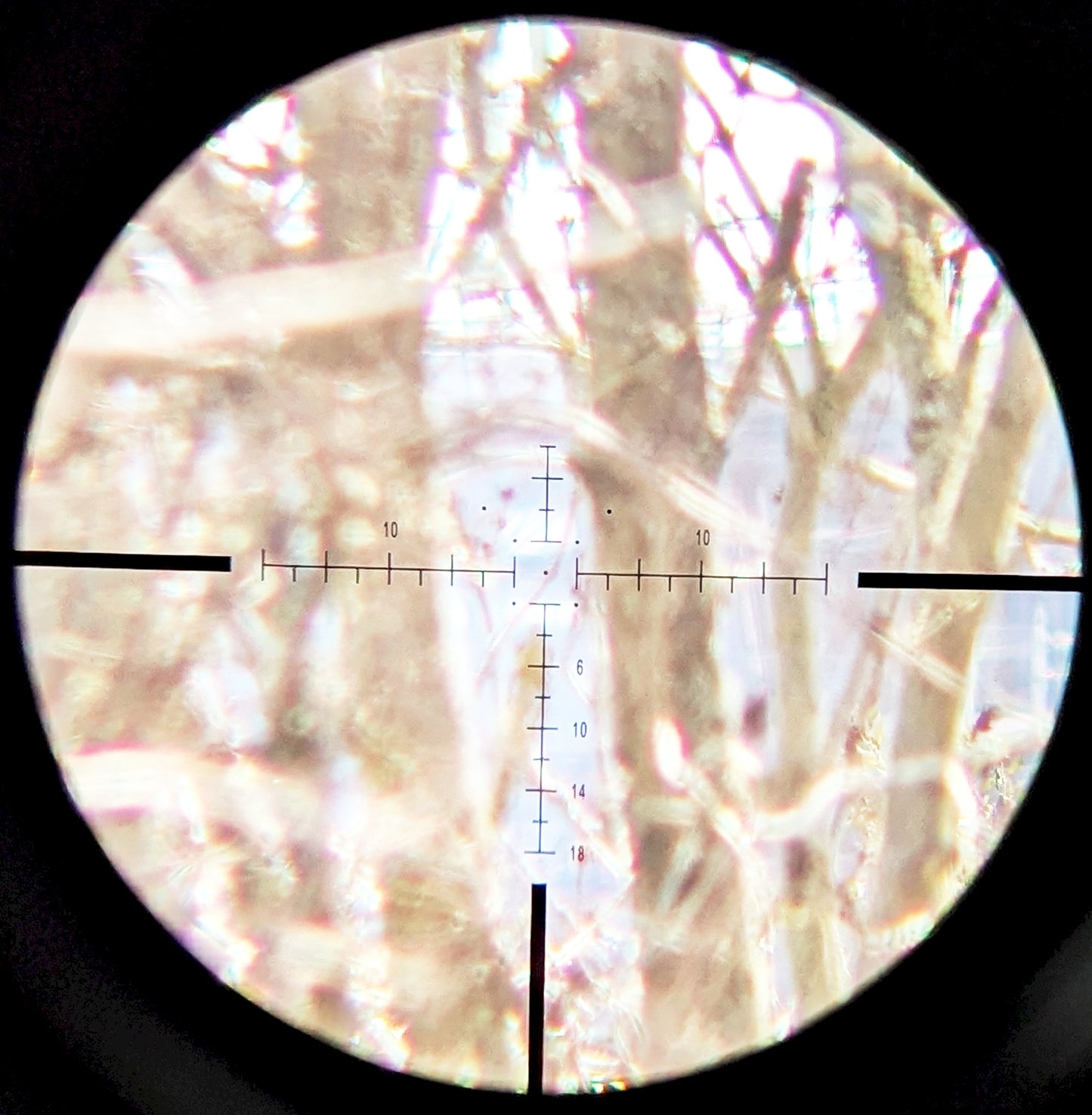 WULF Defender 2-8-18 X50 SFP